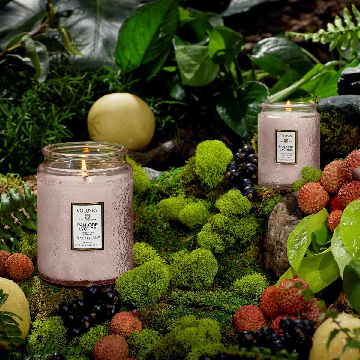 VOLUSPA Panjore Lychee Candle
